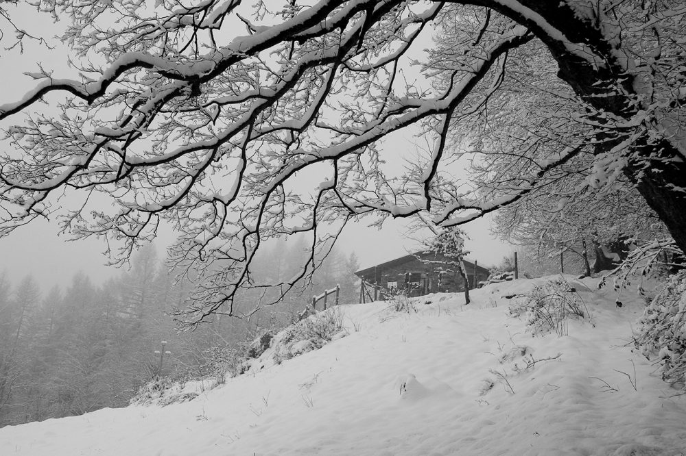 LanificioCerruti_Winter LanificioCerruti_Winter